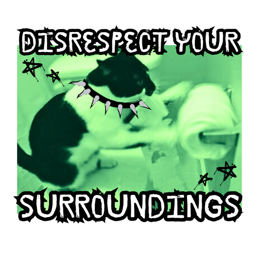 disrespect your surroundings